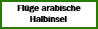 Flüge arabische Halbinsel